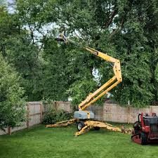 Best Tree and Shrub Care  in Fishhook, AK